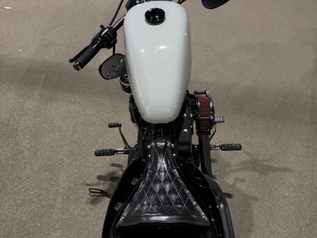 2021 Harley-Davidson Sportster 1200, серый, 1450000 рублей, вид 4