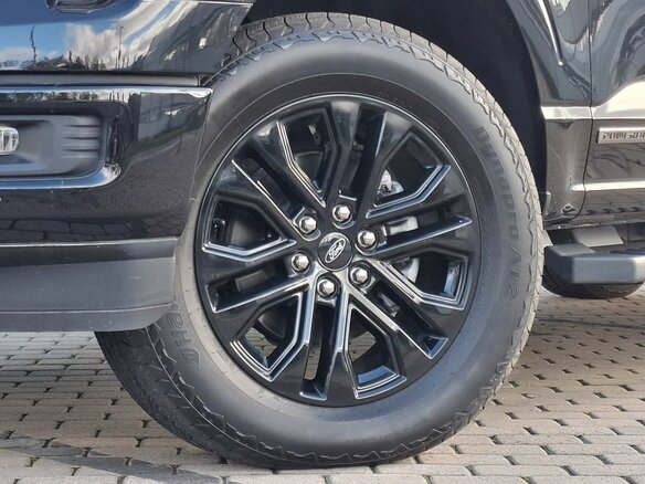 2025 Ford F-150 XIV Рестайлинг, чёрный, 10600000 рублей - вид 9