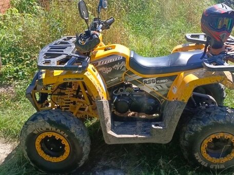 2025 Motoland Wild Track 200, жёлтый, 170000 рублей, вид 1