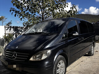 2006 Mercedes-Benz Viano Extra Long L3 I (W639), чёрный, 1300000 рублей, вид 4