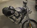 2005 Harley-Davidson Sportster 1200, белый, 700000 рублей - вид 2