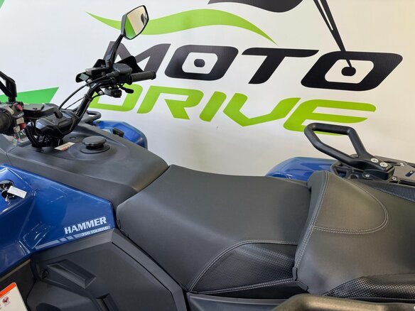 2026 AODES (Odes) UTV 300, синий, 359990 рублей - вид 16