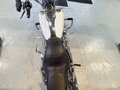2005 Harley-Davidson Dyna Low Rider, белый, 950000 рублей - вид 5