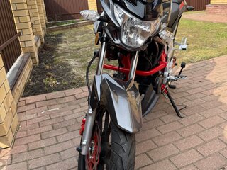 2024 Regulmoto Raptor 250, серый, 165000 рублей, вид 5