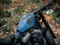 2018 Harley-Davidson Sportster 1200, чёрный, 1350000 рублей - вид 11