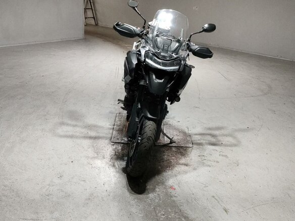 2023 Triumph Tiger 1200, чёрный - вид 2
