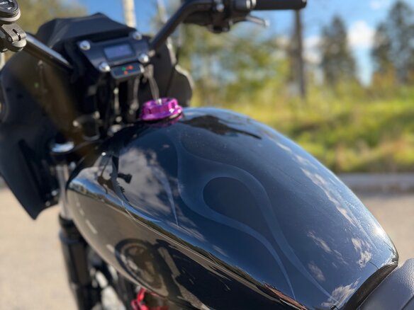 2021 Harley-Davidson Street Bob, серый