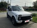 2020 Lada (ВАЗ) 2121 (4x4) I Рестайлинг (2020), серый, 850000 рублей - вид 1