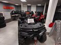2026 Loncin XWolf 700, серый, 898000 рублей - вид 3