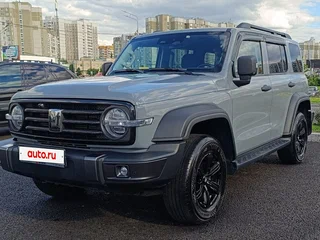2024 Tank 300 I, серый, 3615000 рублей, вид 1