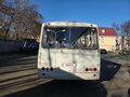 2015 ПАЗ 4234, белый, 350000 рублей - вид 2