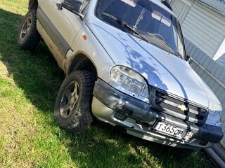 2002 Lada (ВАЗ) 2123, серебристый, 220000 рублей, вид 1