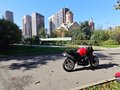2000 Honda X11, чёрный, 315000 рублей - вид 10