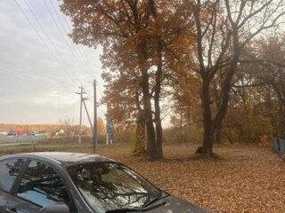 2003 Nissan Primera III (P12), серый, 250000 рублей, вид 3