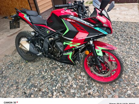 2024 Racer RC250XZR-A, красный, 165000 рублей, вид 1