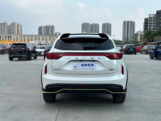2022 Haval Chitu, белый, 1216000 рублей, вид 5