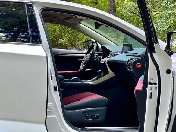 2020 Lexus NX 200 I Рестайлинг, белый, 2764000 рублей - вид 34