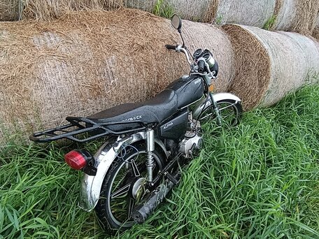 2018 Racer Alpha, чёрный, 29000 рублей, вид 4