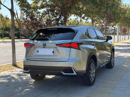 2021 Lexus NX 200 I Рестайлинг, серый, 2450000 рублей, вид 4