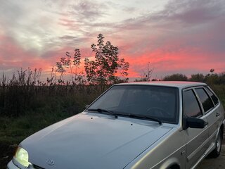 2009 Lada (ВАЗ) 2114, серебристый, 270000 рублей, вид 1
