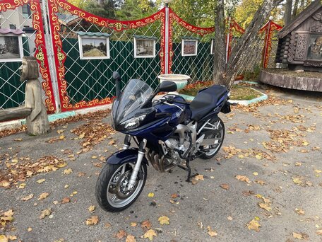 2005 Yamaha FZ6, синий, 550000 рублей, вид 2