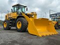 2026 LGCE L956F, жёлтый - вид 1