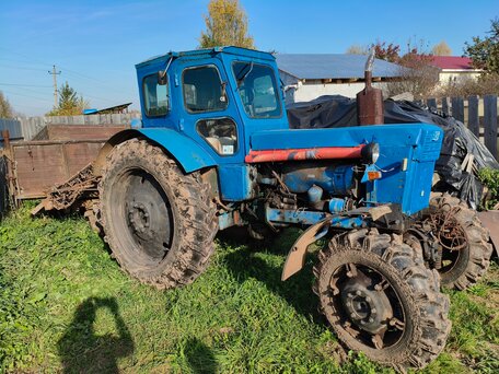 1990 ЛТЗ Т-40АМ, синий, 390000 рублей, вид 1