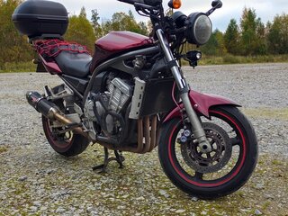 2001 Yamaha FZS1000 Fazer, красный, 295000 рублей, вид 2