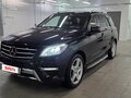 2014 Mercedes-Benz M-Класс 300 III (W166), чёрный - вид 4