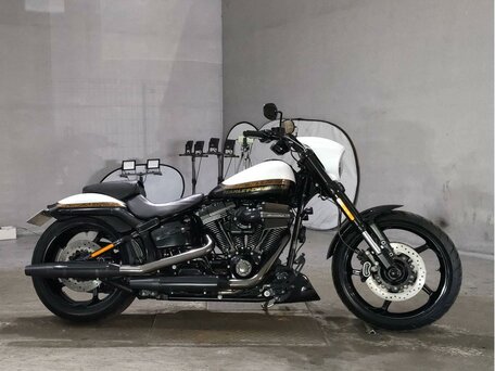 2016 Harley-Davidson CVO Pro Street Breakout, белый, 2277000 рублей, вид 2