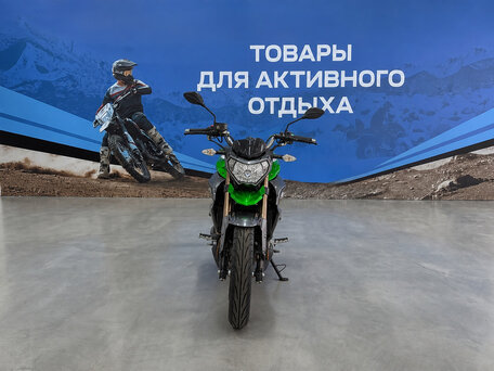 2026 Regulmoto T-Leopard 300, зелёный, 223000 рублей, вид 4