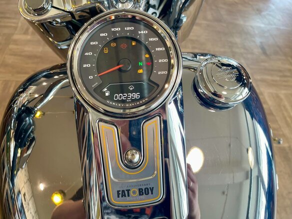 2025 Harley-Davidson Fat Boy, серый, 4800000 рублей - вид 11