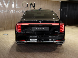 2026 Senat 900, чёрный, 12549000 рублей, вид 3