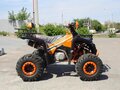 2026 Motoland Raptor 125, чёрный, 88800 рублей - вид 1