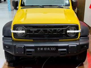 2026 Tank 300 L I Рестайлинг 2, жёлтый, 6000000 рублей, вид 1