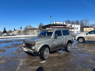 1983 Lada (ВАЗ) 2121 (4x4) I, серый, 165000 рублей, вид 1