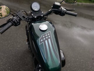 2021 Harley-Davidson Sportster 883, зелёный, 790000 рублей, вид 3