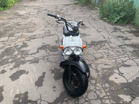 1995 Honda Zoomer, белый, 110000 рублей, вид 1
