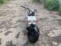 1995 Honda Zoomer, белый, 110000 рублей