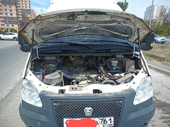 2010 ГАЗ ГАЗель (33023/330273) Фермер, белый, 800000 рублей - вид 15