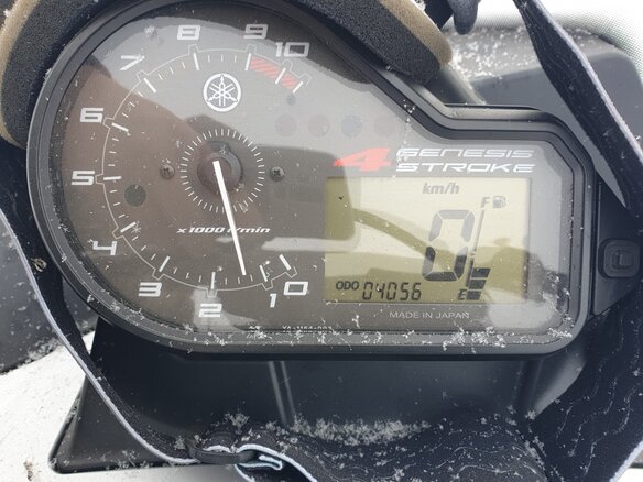 2019 Yamaha VK Professional, серебристый, 2100000 рублей - вид 1