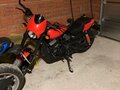 2019 Harley-Davidson Street Rod, красный, 670000 рублей - вид 1