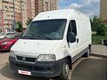 2009 Fiat Professional Ducato, белый, 800000 рублей