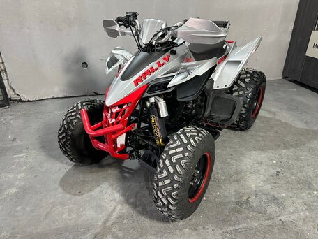 2023 Motoland 250 Rally, серебристый, 155000 рублей, вид 5