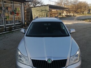 2009 Skoda Octavia II (A5) Рестайлинг, серый, 1250000 рублей, вид 1