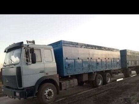 2003 МАЗ 6303, белый, 1550000 рублей, вид 1