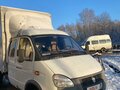 2013 ГАЗ ГАЗель (33023/330273) Фермер, белый, 1850000 рублей - вид 3