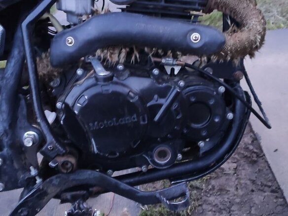 2019 Motoland Enduro 250, белый, 145000 рублей - вид 2