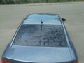 2009 Kia Cerato 5-speed II, серый, 730000 рублей - вид 8
