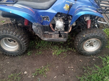 2007 Irbis ATV 300U, синий, 170000 рублей, вид 2